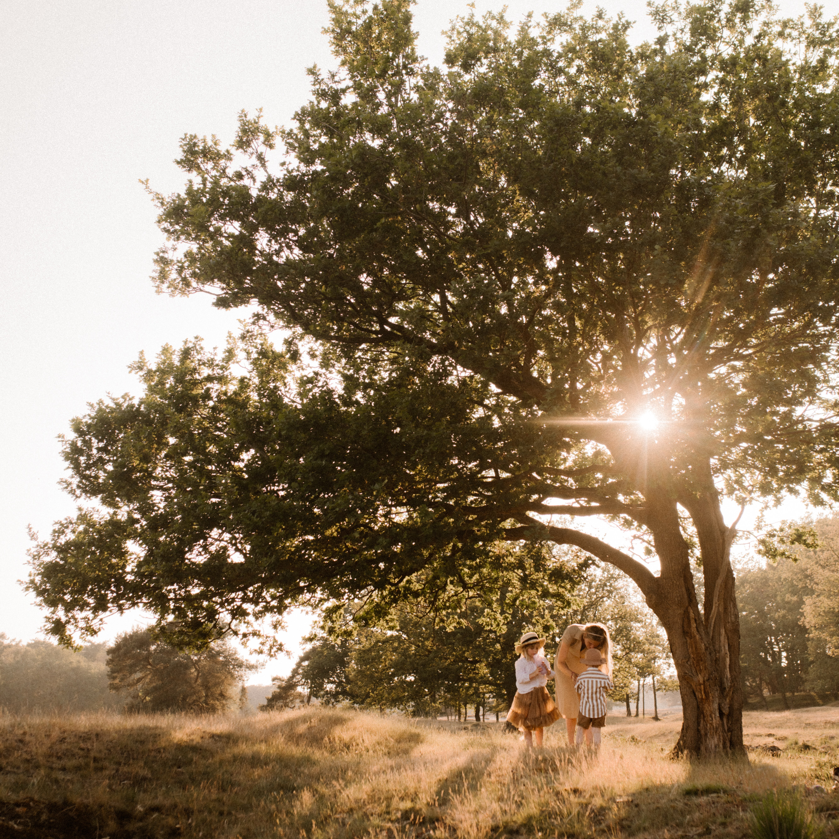 lasergamen op locatie