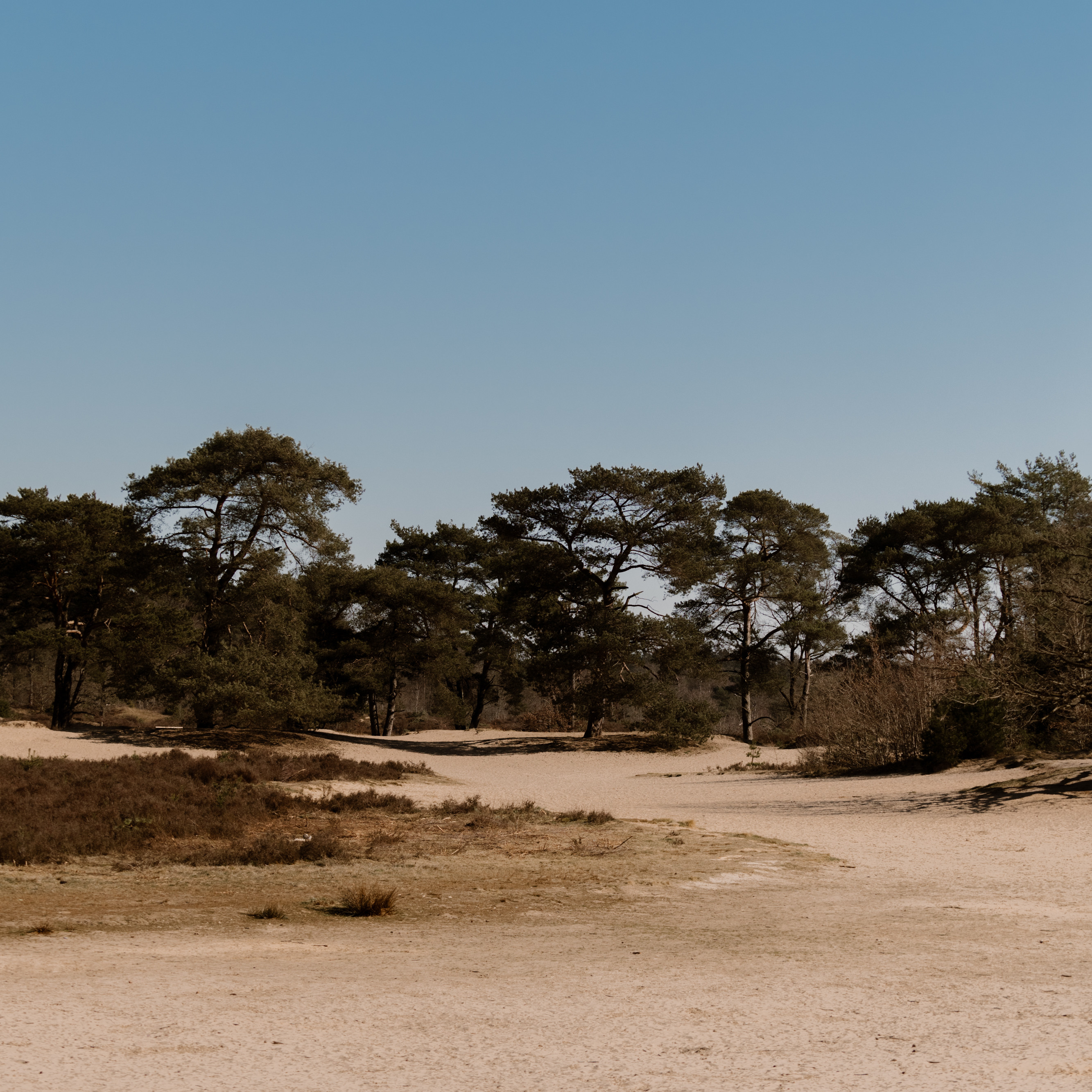 gps tocht in bos van bakkeveen